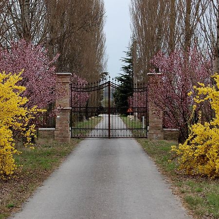 Agriturismo Corte Rocca San Giorgio di Mantova Zewnętrze zdjęcie