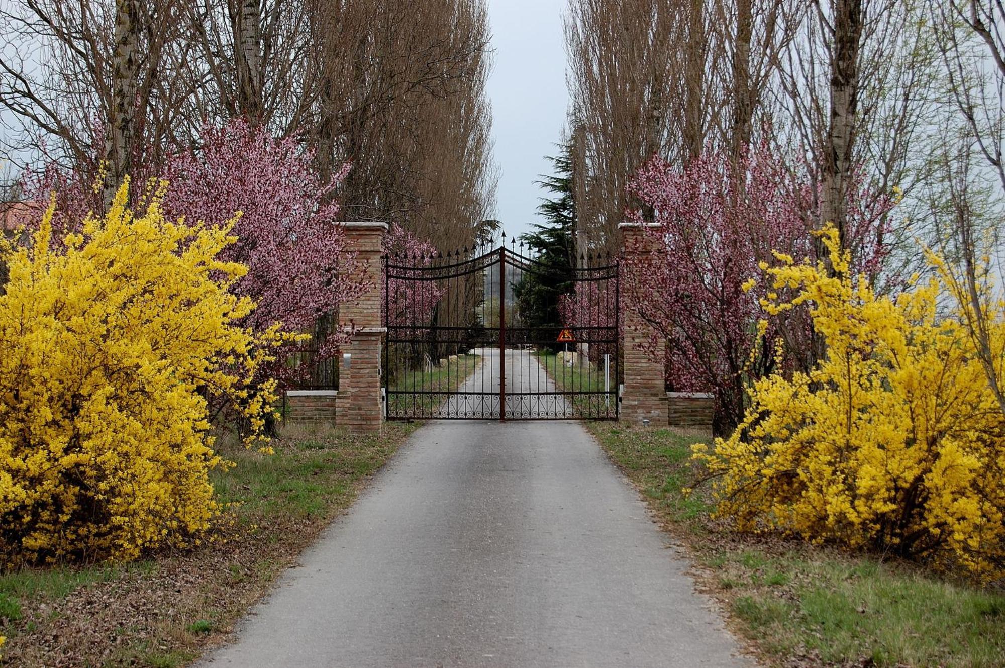 Agriturismo Corte Rocca San Giorgio di Mantova Zewnętrze zdjęcie