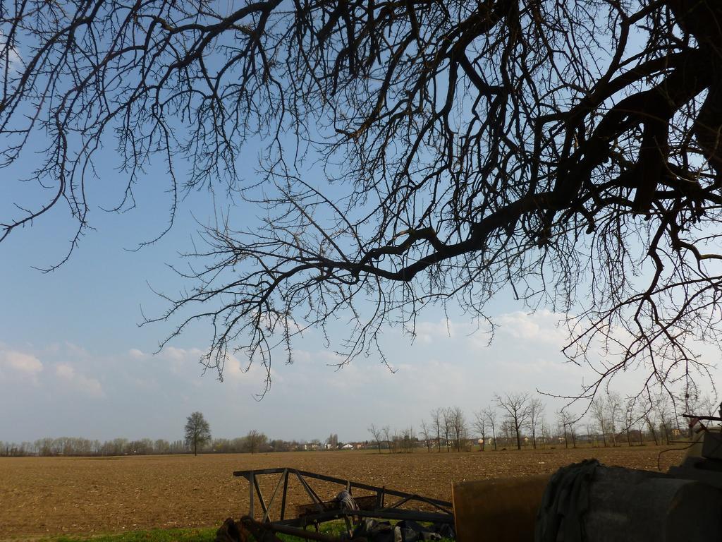 Agriturismo Corte Rocca San Giorgio di Mantova Zewnętrze zdjęcie