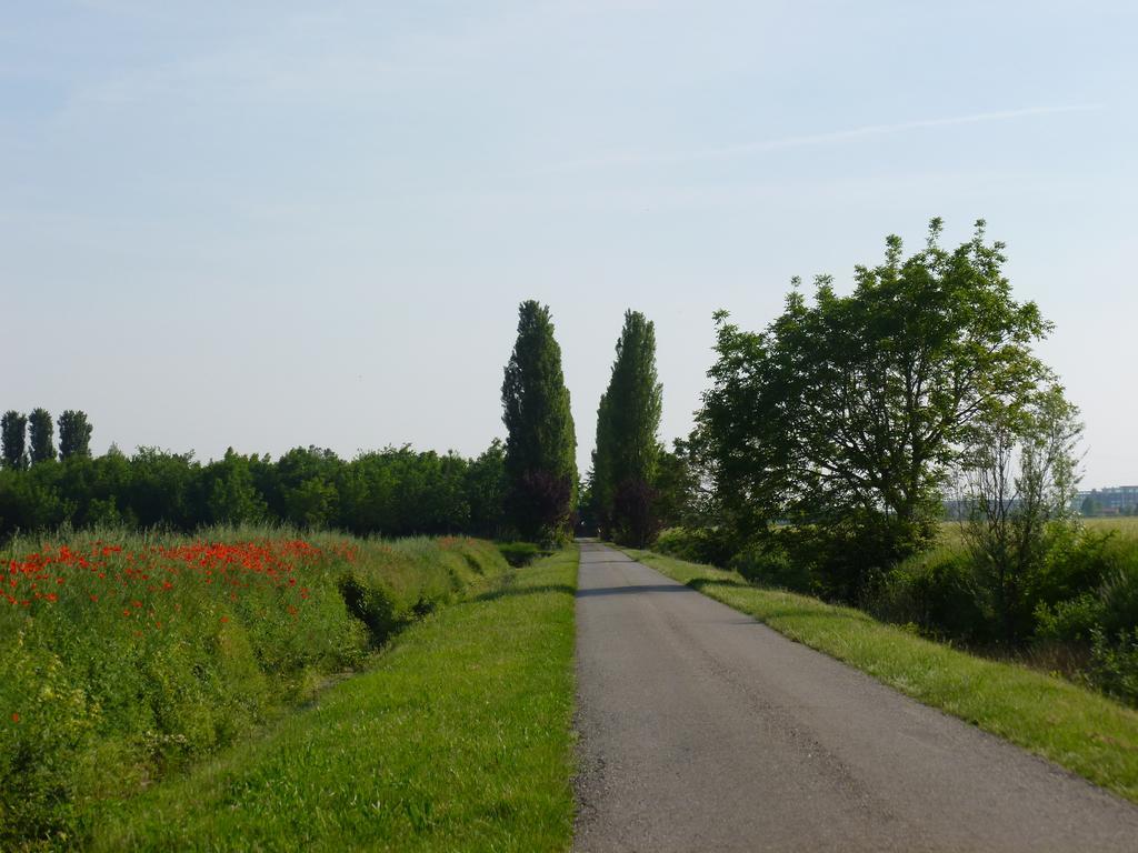 Agriturismo Corte Rocca San Giorgio di Mantova Zewnętrze zdjęcie