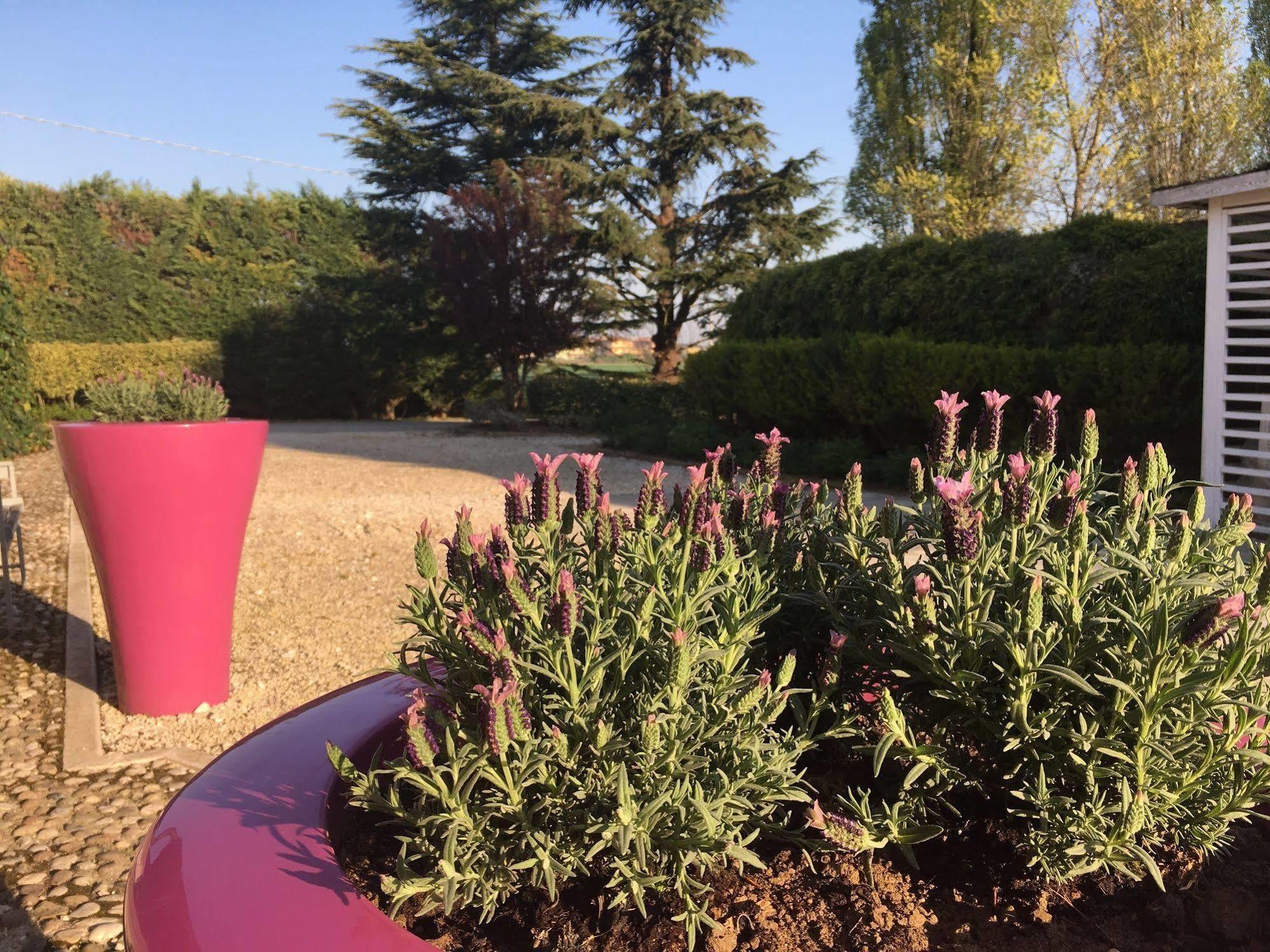 Agriturismo Corte Rocca San Giorgio di Mantova Zewnętrze zdjęcie